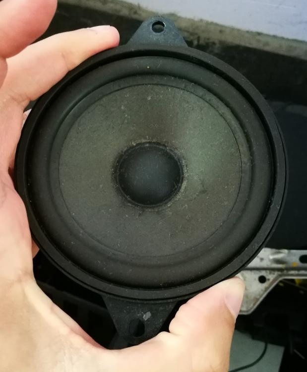 OEM speaker 2.jpg